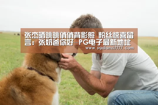 张杰晒跳跳俏俏背影照 粉丝惊喜留言:张奶爸你好-PG电子最新地址(图2) PG娱乐中心