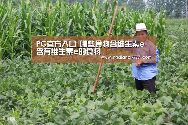PG官方入口_哪些食物含维生素e 含有维生素e的食物(图1) PG Soft官网