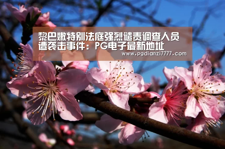 PG电子最新地址