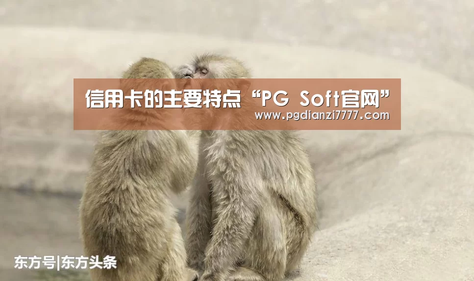 信用卡的主要特点“PG Soft官网”(图1) PG娱乐中心
