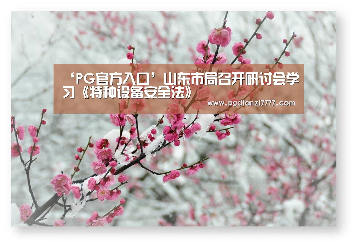 ‘PG官方入口’山东市局召开研讨会学习《特种设备安全法》(图4) PG Soft官网