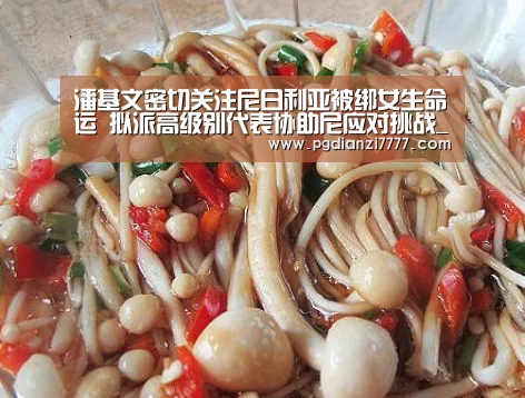 潘基文密切关注尼日利亚被绑女生命运 拟派高级别代表协助尼应对挑战_PG电子最新地址(图2) PG电子最新地址