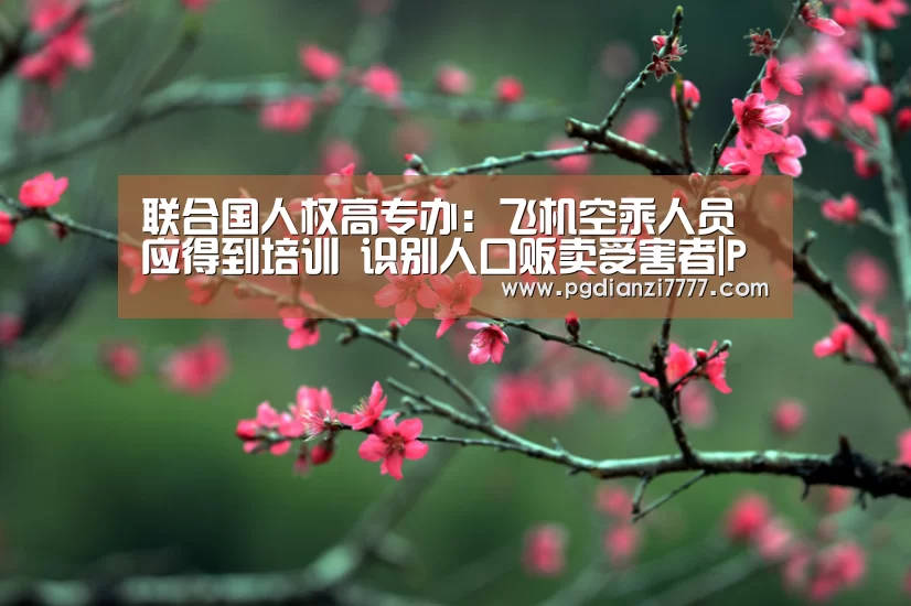 联合国人权高专办:飞机空乘人员应得到培训 识别人口贩卖受害者|PG娱乐中心(图1) PG官方入口