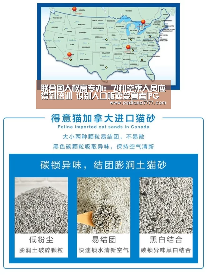 联合国人权高专办:飞机空乘人员应得到培训 识别人口贩卖受害者|PG娱乐中心(图4) PG Soft官网